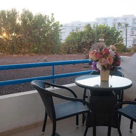 Paraiso Del Sur Apartment Playa Paraiso (Tenerife)